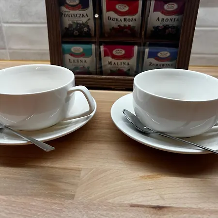 公寓 Czysta - Old Town, Superb Location, Railway Access 弗罗茨瓦夫